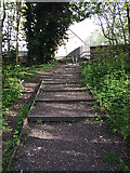 SE2534 : Steps up from Houghley Gill by Stephen Craven