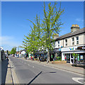 Empty Cambridge: Mill Road shops