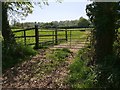 Gate into a Field