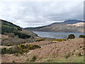 Liddesdale, Loch Sunart