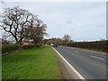 A19 towards Thirsk