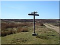 NY8855 : Signpost at the crossing of bridleways by Oliver Dixon