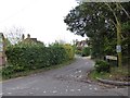 Looking from College Hill into College Hill Terrace