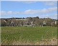 Glimpse of a playground, Kingswells