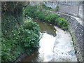 The Brislington Brook