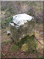 NT9104 : Old Boundary Marker by Mike Rayner