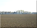 Large field off Horse Carr Lane