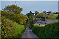 Poughill : Country Lane