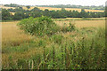 Farmland, Rea Brook valley