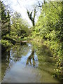 Ponded stream at head of Hackfall