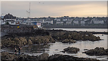 J5182 : Shoreline, Bangor by Rossographer