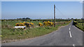 The Kilbright Road North near Carrowdore