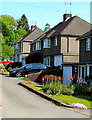 Red Hot Pokers, Malpas Road, Newport