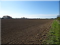 Field near Cleaves Farm