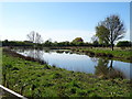 Pond near Cleaves Farm