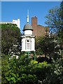 Hoxton Street Community Garden