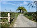 Farm track, near King