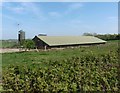 Poultry shed, above the Mole Valley