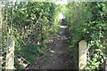 ST1898 : Public footpath up towards West View Crescent by M J Roscoe