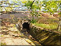 Stanford Brook passes under the Brighton Line