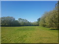 Footpath to Dean Court