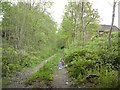 Abandoned railway line