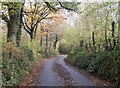 Lane south of River Torridge