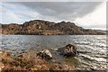 NH6432 : Loch Duntelchaig by valenta