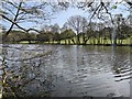 Ripples on Broad Water