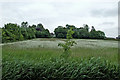 Warwickshire farmland north of Burton Hastings 