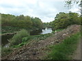 SE3621 : The River Calder, looking downstream, north of Kirkthorpe by Christine Johnstone