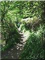 Public Bridleway near Hartley West Farm, Holywell Dene