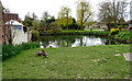 Little Driffield Pond