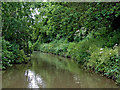 Ashby Canal south of Whitestone in Nuneaton, Warwickshire