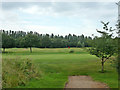 A green, Hersham Golf Club