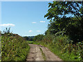 Farm track south from Lower Barn