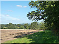 View north from by Bepton Road