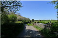 Welby Lane crossing a tributary to Welby Brook