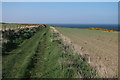 Track towards Redhythe Point