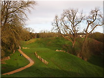 SP0201 : Roman Amphitheatre Earthworks, Cirencester by Chris Andrews