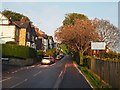 Banner Cross Road