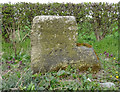 Old milestone / mounting block beside the B1249