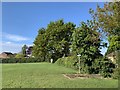 Footpaths on the playing fields