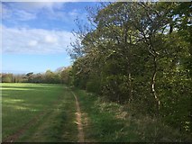 NT4375 : Path near Longniddry by Richard Webb