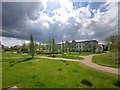 Landscaping for new Housing Estate