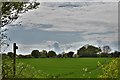 Redlingfield: Public footpath