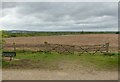 SK6436 : North View Point, Cotgrave Country Park by Alan Murray-Rust