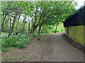 Path following Stanford Brook, Maidenbower, Crawley