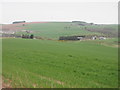 Field above Inverbervie