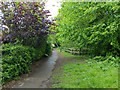 Path following Gatwick Stream, Maidenbower, Crawley